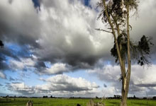 德甲-凯恩梅开二度 拜仁主场三球完胜斯图加特.