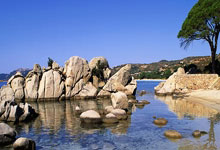 于大宝社媒发文:感谢让我在工体和大家道别,仍想为中国足球贡献力量.